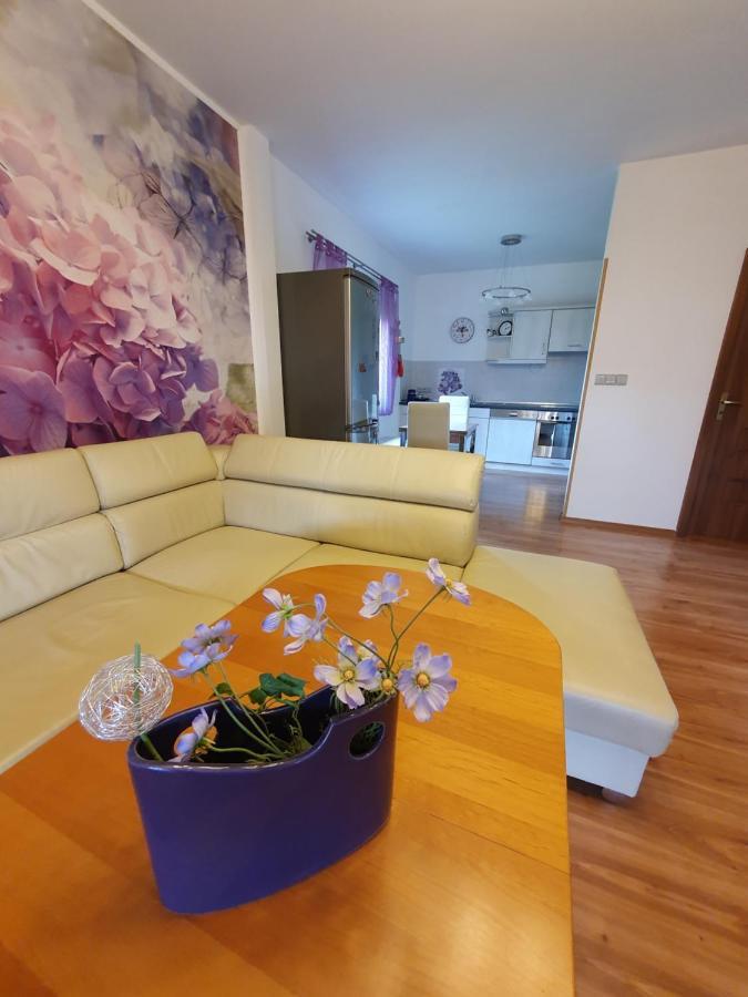 Domek Cisarsky Villa Šluknov Exteriör bild